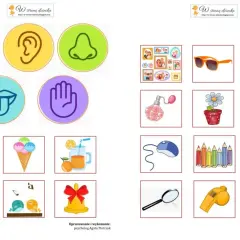 Karta pracy do druku: zmysły wzroku, słuchu, węchu, smaku, dotyku. Obrazki: jabłko, lody, sok, gitara, ptaszki, dzwonek, ramki, okulary, książka, perfumy, kwiatek, garnek, myszka, kredki, sweter, lupa, gwizdek, nożyczki.