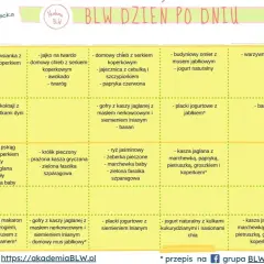 Przepisy na śniadanie dla 7 miesięcznego dziecka: omlety, gofry, placki, owsianki, koktajle, pieczone mięsa i ryby.