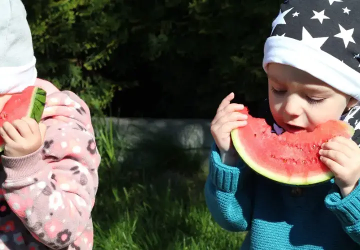Dwa maluchy w czapkach zajadają soczystego arbuza. To idealny arbuz dla niemowlaka na letnie orzeźwienie.