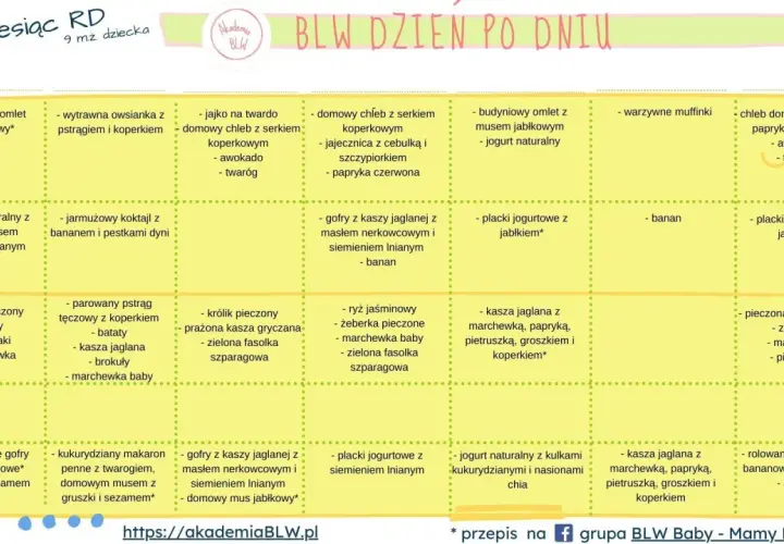 Przepisy na śniadanie dla 7 miesięcznego dziecka: omlety, gofry, placki, owsianki, koktajle, pieczone mięsa i ryby.