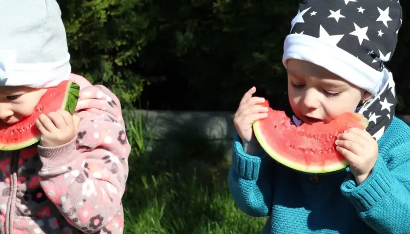 Dwa maluchy w czapkach zajadają soczystego arbuza. To idealny arbuz dla niemowlaka na letnie orzeźwienie.