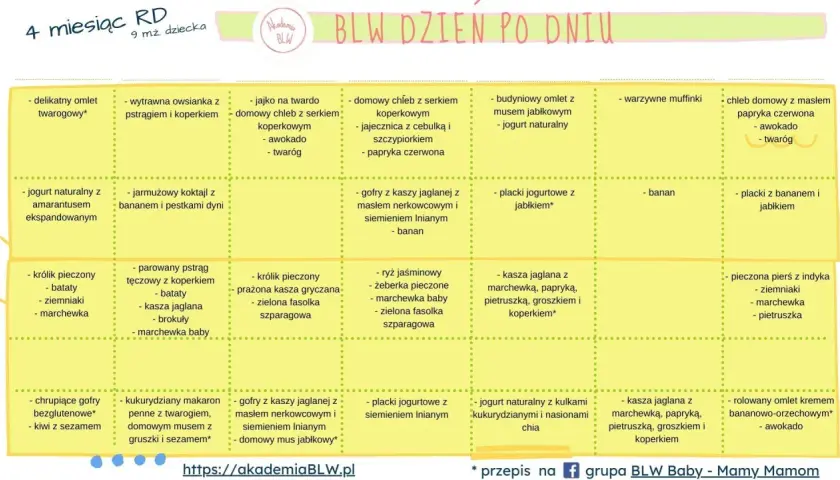 Przepisy na śniadanie dla 7 miesięcznego dziecka: omlety, gofry, placki, owsianki, koktajle, pieczone mięsa i ryby.