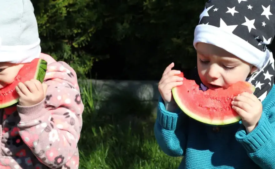 Arbuz dla niemowlaka - Bezpiecznie i smacznie? Sprawdź, jak!