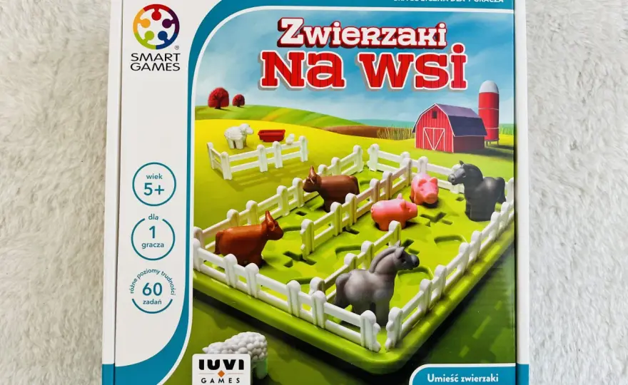 Gry logiczne online dla dzieci - wybierz mądrze!