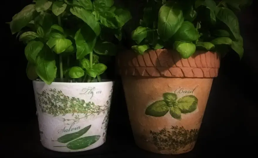 Jak ozdobić plastikowe doniczki? Proste DIY dla każdego!
