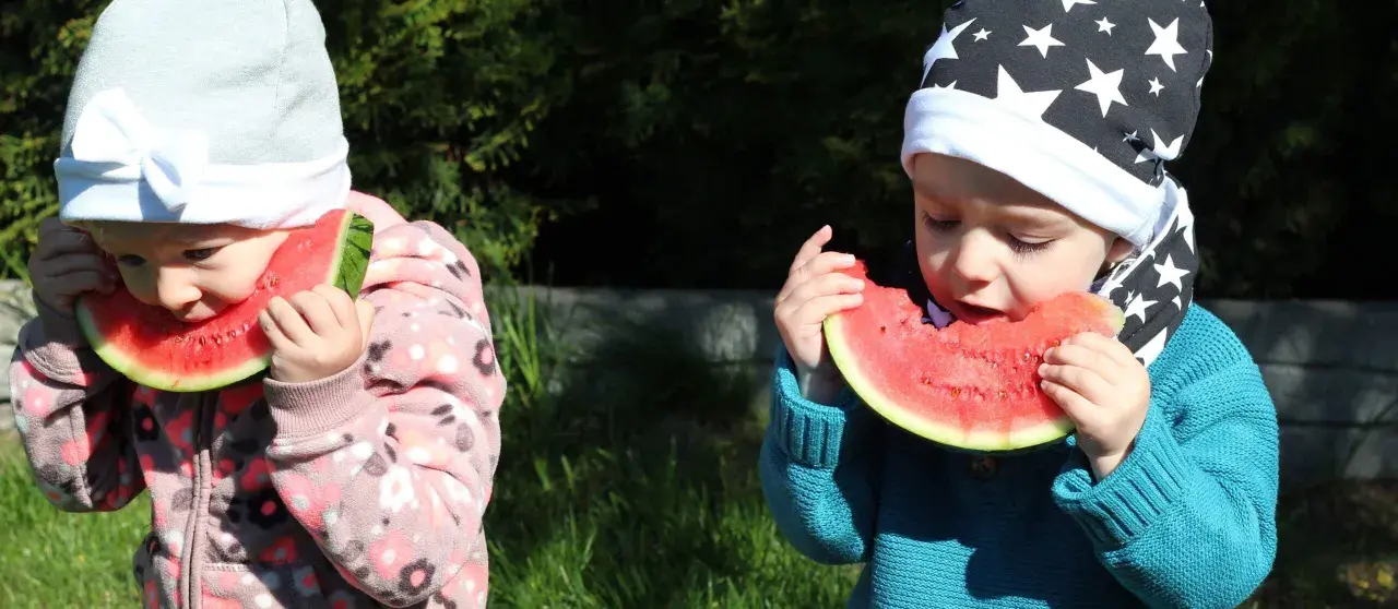 Dwa maluchy w czapkach zajadają soczystego arbuza. To idealny arbuz dla niemowlaka na letnie orzeźwienie.