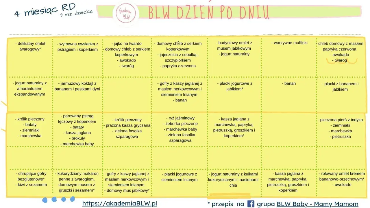 Przepisy na śniadanie dla 7 miesięcznego dziecka: omlety, gofry, placki, owsianki, koktajle, pieczone mięsa i ryby.