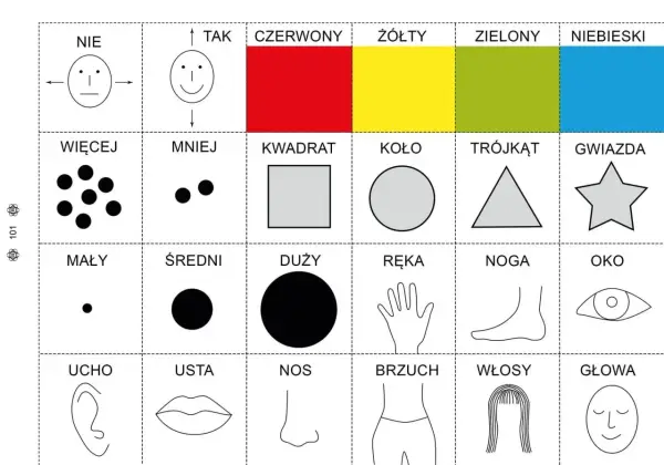Karty pracy dla 6 latka: kolory, kształty, liczby, części ciała i inne.
